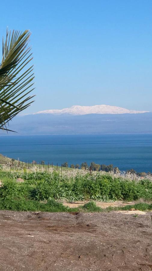 Kinneret View 외부 사진
